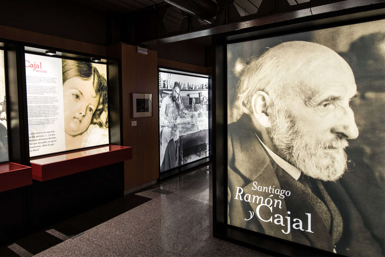 Santiago Ramón y Cajal, the exhibition