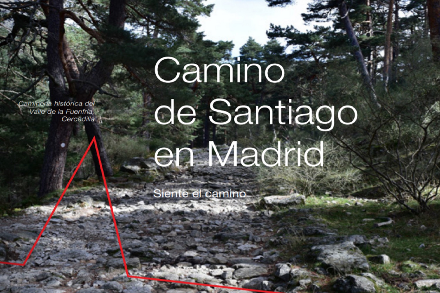 Camino de Santiago en Madrid