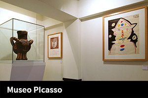 Museo PIcasso